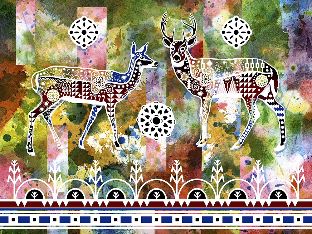 Double White Tailed Deer - Fine Art Print