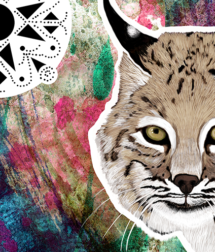 Northern Bobcat Mother and Kitten - Fine Art Print