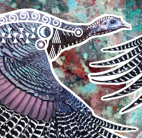 Double Turkey Hens - Fine Art Print